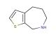 5,6,7,8-tetrahydro-4H-thieno[2,3-c]azepine