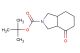 tert-butyl 4-oxo-octahydro-1H-isoindole-2-carboxylate