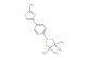 2-methyl-4-[4-(tetramethyl-1,3,2-dioxaborolan-2-yl)phenyl]-1,3-thiazole