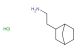 2-(bicyclo[2.2.1]heptan-2-yl)ethan-1-amine hydrochloride