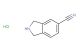 isoindoline-5-carbonitrile hydrochloride