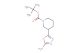 tert-butyl 3-(5-amino-1,3,4-oxadiazol-2-yl)piperidine-1-carboxylate