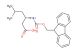 (S)-3-((((9H-fluoren-9-yl)methoxy)carbonyl)amino)-5-methylhexanoic acid