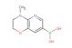 (4-methyl-3,4-dihydro-2H-pyrido[3,2-b][1,4]oxazin-7-yl)boronic acid