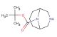 tert-butyl 3,9-diazabicyclo[3.3.1]nonane-9-carboxylate