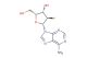 2'-fluoro-2'-deoxyadenosine