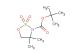 tert-butyl 4,4-dimethyl-1,2,3-oxathiazolidine-3-carboxylate 2,2-dioxide