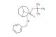 tert-butyl 2-(benzylamino)-8-azabicyclo[3.2.1]octane-8-carboxylate