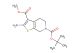 6-tert-butyl 3-methyl 2-amino-4,5-dihydrothieno[2,3-c]pyridine-3,6(7H)-dicarboxylate