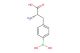 4-boronophenylalanine