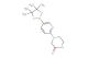 4-(5-(4,4,5,5-tetramethyl-1,3,2-dioxaborolan-2-yl)pyridin-2-yl)piperazin-2-one