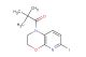 1-(6-iodo-2,3-dihydro-1H-pyrido[2,3-b][1,4]oxazin-1-yl)-2,2-dimethylpropan-1-one