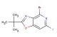 4-bromo-2-(tert-butyl)-6-iodooxazolo[4,5-c]pyridine