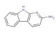 9H-pyrido[2,3-b]indol-2-amine