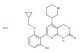 Bay 65-1942 hydrochloride