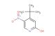 4-(tert-butyl)-5-nitropyridin-2-ol