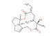 Seneciphylline