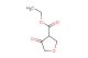 tetrahydro-4-oxo-3-furoic acid ethyl ester