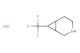 7-(trifluoromethyl)-3-azabicyclo[4.1.0]heptane hydrochloride