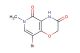 8-bromo-6-methyl-4,6-dihydro-2H-pyrido[4,3-b][1,4]oxazine-3,5-dione