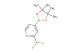 2-(difluoromethyl)-4-(4,4,5,5-tetramethyl-1,3,2-dioxaborolan-2-yl)pyridine