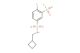 5-(N-(cyclobutylmethyl)sulfamoyl)-2-fluorobenzene-1-sulfonyl fluoride