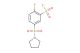 2-fluoro-5-(pyrrolidin-1-ylsulfonyl)benzene-1-sulfonyl fluoride