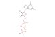 Guanosine-5'-triphosphate