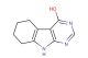 6,7,8,9-tetrahydro-5H-pyrimido[4,5-b]indol-4-ol