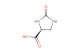 (S)-2-oxoimidazolidine-4-carboxylic acid