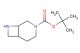 tert-butyl 3,8-diaza-bicyclo[4.2.0]octane-3-carboxylate