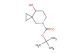 tert-Butyl 8-hydroxy-5-azaspiro[2.5]octane-5-carboxylate