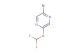 2-bromo-5-(difluoromethoxy)pyrazine