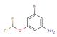 3-bromo-5-(difluoromethoxy)aniline