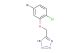 5-((5-bromo-2-chlorophenoxy)methyl)-1H-tetrazole