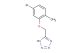 5-((5-bromo-2-methylphenoxy)methyl)-1H-tetrazole