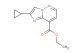 ethyl 2-cyclopropylimidazo[1,2-b]pyridazine-8-carboxylate