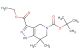 5-(tert-butyl) 3-ethyl 7,7-dimethyl-1,4,6,7-tetrahydro-5H-pyrazolo[4,3-c]pyridine-3,5-dicarboxylate