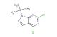 1-(tert-butyl)-4,6-dichloro-1H-pyrazolo[3,4-d]pyrimidine