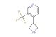 4-(azetidin-3-yl)-3-(trifluoromethyl)pyridine