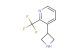 3-(azetidin-3-yl)-2-(trifluoromethyl)pyridine