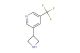 3-(azetidin-3-yl)-5-(trifluoromethyl)pyridine