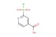 2-(chlorosulfonyl)isonicotinic acid