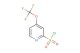 4-(trifluoromethoxy)pyridine-2-sulfonyl chloride