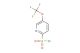 5-(trifluoromethoxy)pyridine-2-sulfonyl chloride