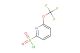 6-(trifluoromethoxy)pyridine-2-sulfonyl chloride