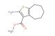 methyl 2-amino-5,6,7,8-tetrahydro-4H-cyclohepta[b]thiophene-3-carboxylate