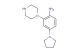 2-(piperazin-1-yl)-4-(pyrrolidin-1-yl)aniline