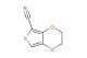 2,3-dihydrothieno[3,4-b][1,4]dioxine-5-carbonitrile