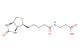 3-(5-((3aS,4S,6aR)-2-oxohexahydro-1H-thieno[3,4-d]imidazol-4-yl)pentanamido)propanoic acid